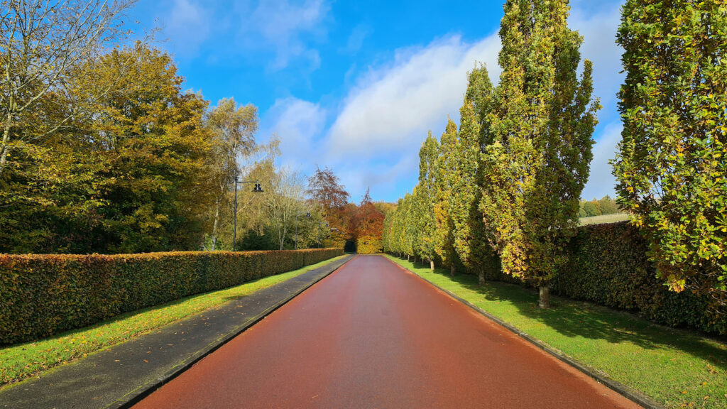 Long, orange road narrowing with distance. On the left, gated with a long shrub fence. On the right, gated with a long shrub fence and equally distributed trees.